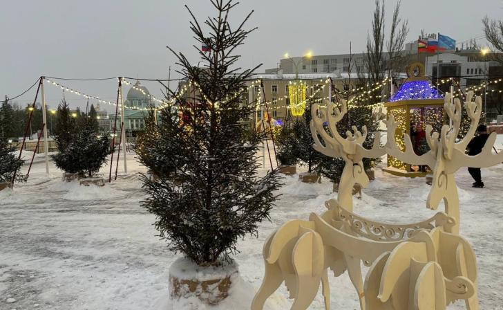 В центре Курска появился «Красный лес