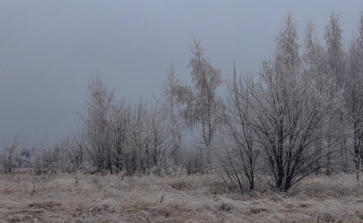 14 декабря в Курской области ожидается мороз и сильный ветер