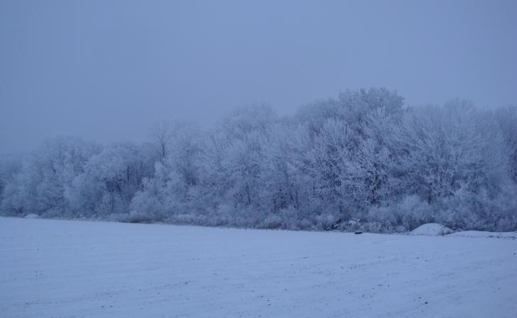 Курян предупреждают о метелях и сильном ветре