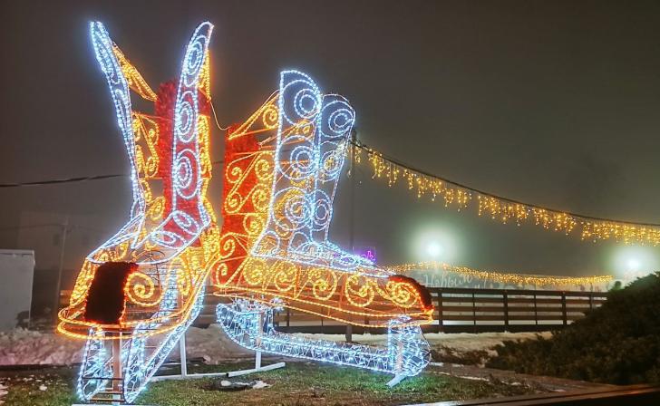 Куряне могут купить билет на губернский каток по интернету