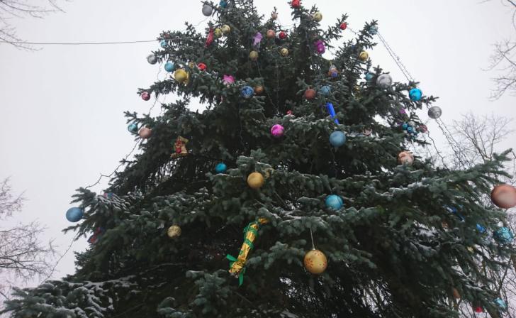 Орловские волонтеры провели для юных переселенцев из курского приграничья новогодний утренник