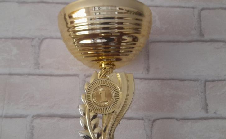 В Курске вручили спортивную премии общественного признания «Вершина»