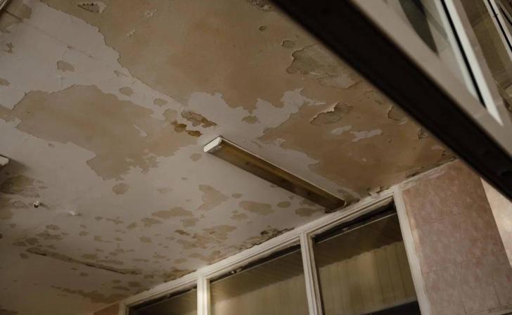 Родители учеников школы №27 в Курске пожаловались Хинштейну на плесень в классах