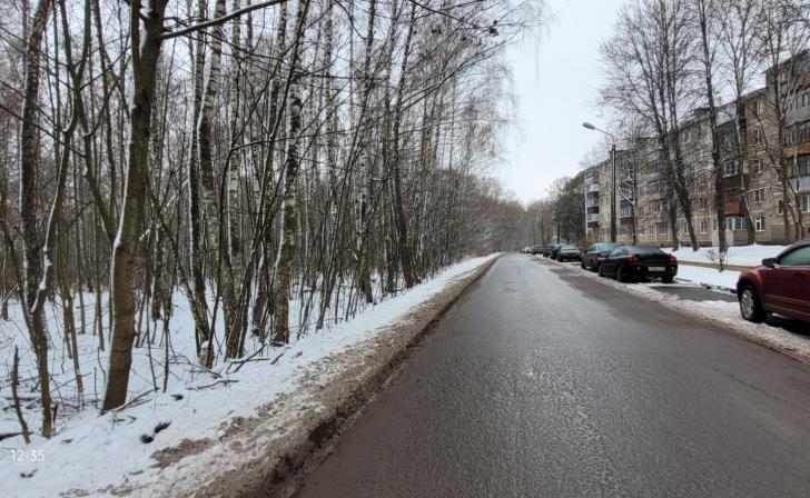 Курские власти готовят документ об отмене застройки леса в Железногорске