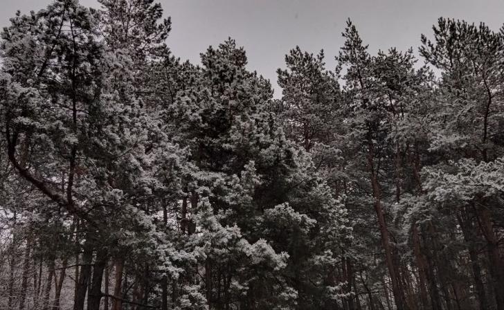 В Курской области ночью похолодает до минус восьми градусов