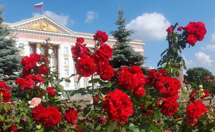 Озеленять Курск будет проверенный годами подрядчик