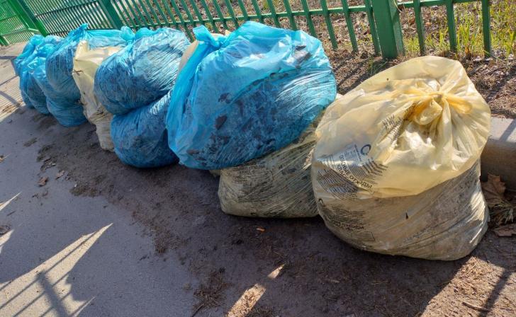 В Курской области в субботниках поучаствовали более 15 тысяч человек