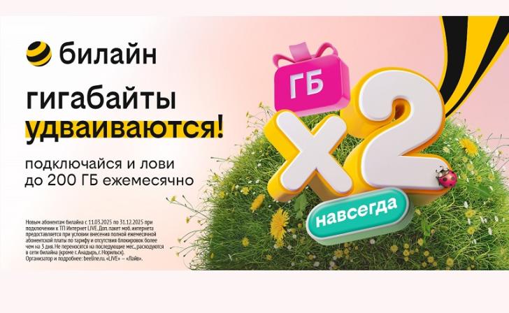 Бесконечное удвоение гигабайтов: билайн запустил акцию для организации интернета в загородном доме Бесконечное удвоение гигабайтов: билайн запустил акцию для организации интернета в загородном доме
