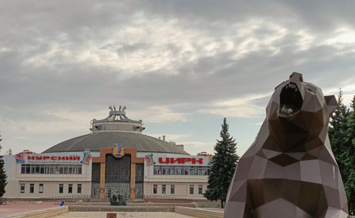 Дети из курского приграничья смогут бесплатно посещать цирки