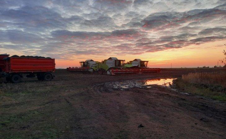 Курская область завершила посевную кампанию