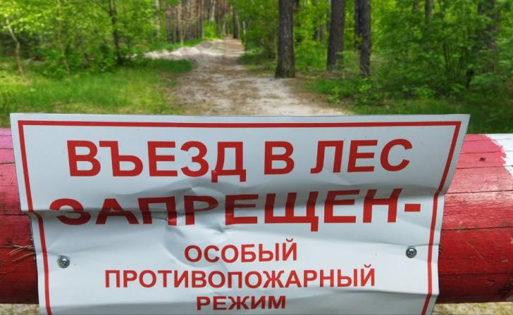 В Курской области планируют ввести особый противопожарный режим