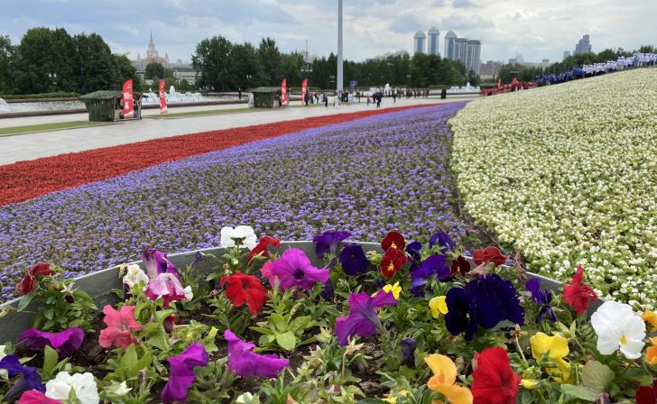 В Курске выберут самую благоустроенную территорию образовательного учреждения