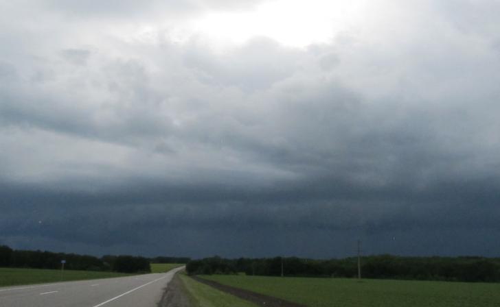 В Курской области ожидаются дожди с грозами
