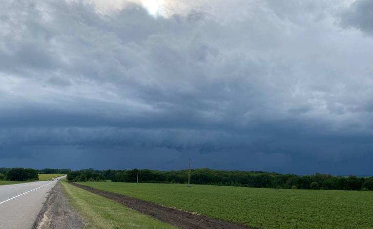 В Курской области ожидаются дожди и грозы с сильными порывами ветра