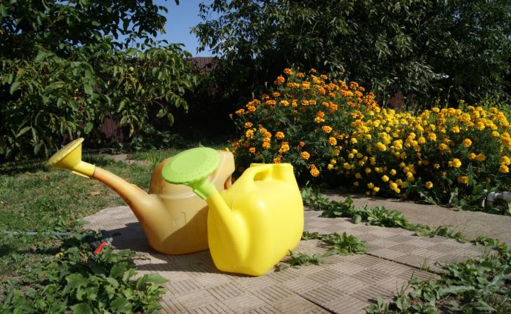 В Курской области 4 июля ожидается до 31 градуса жары