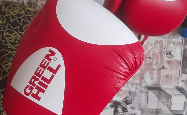 В Курске построят Центр спортивных единоборств