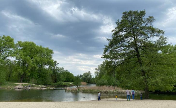 В Курской области ожидается до 26 градусов жары