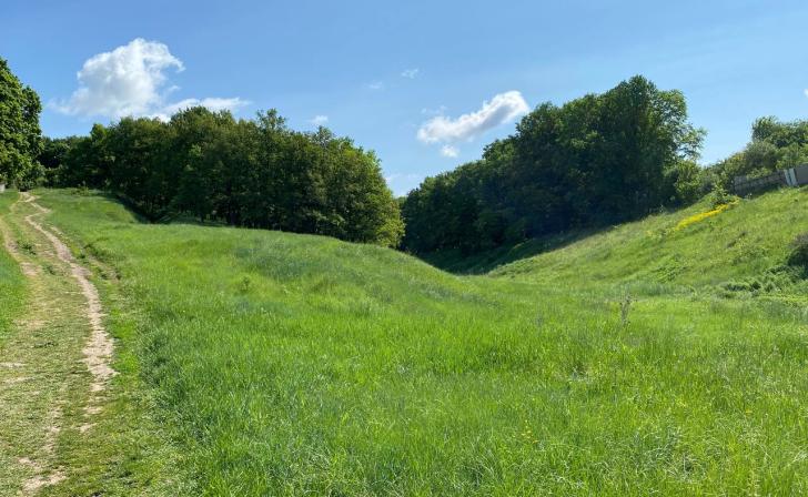 В Курской области 30 июля ожидается до 32 градусов жары