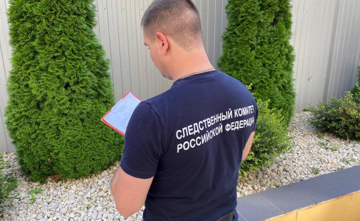 Следственный комитет проверяет обстоятельства нападения собаки на женщину в Курске