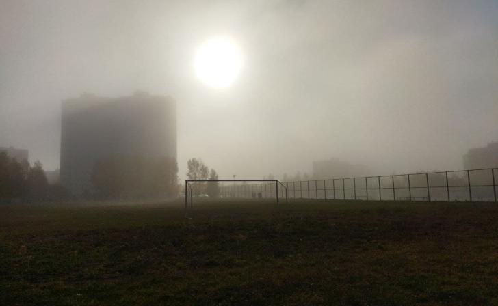 В Курской области ночью и утром ожидается туман
