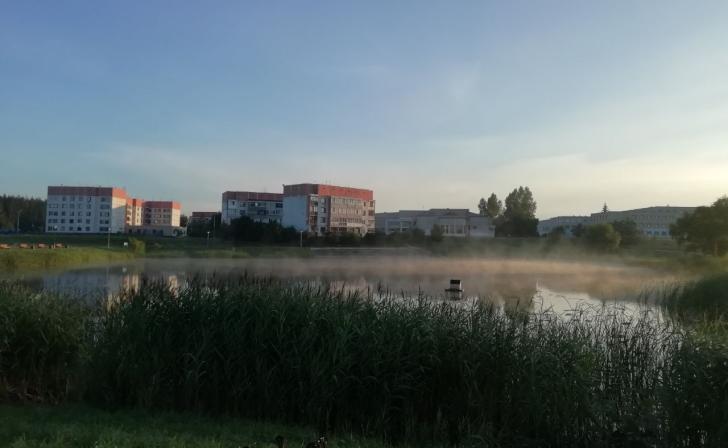 В Курской области 10 августа ожидается туман