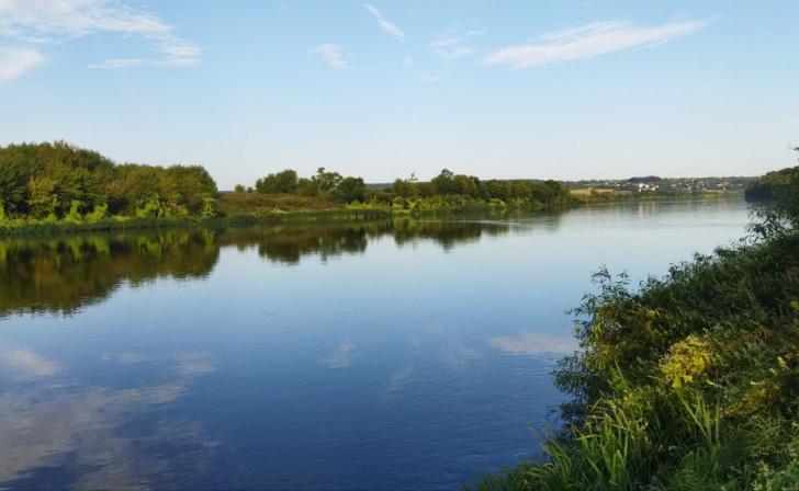 В Курской области ожидаются дожди и до 24 градусов тепла