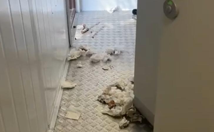 Мэр Железногорска показал, как горожане пользуются общественным туалетом в парке