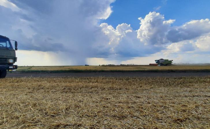 Минсельхоз РФ выделит средства для сельхозпроизводителей Курской области