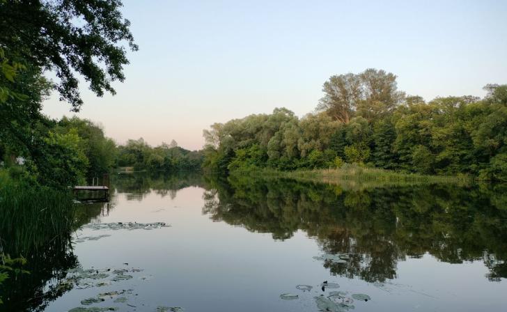 Хинштейн рассказал о развитии водного туризма в парке «Соловьиная роща» Хинштейн рассказал о развитии водного туризма в парке «Соловьиная роща»