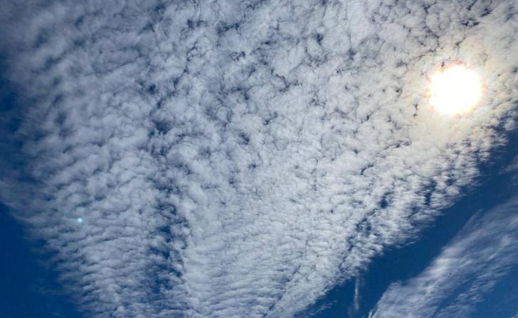 В Курской области 11 сентября будет ясно и тепло