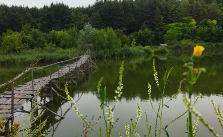 Курян поймали на незаконной добыче бобра и норки