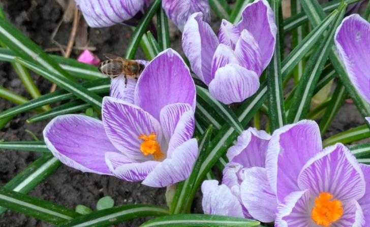 Расширена охранная зона «Балки Калинов лог» в Курской области