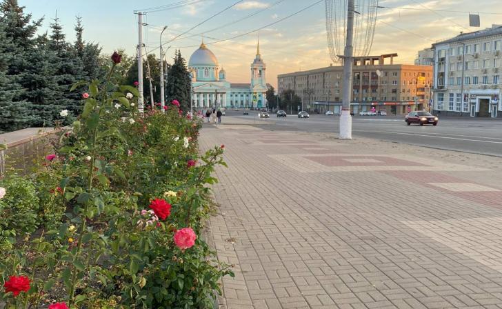 В Курской области ожидается до 26 градусов тепла