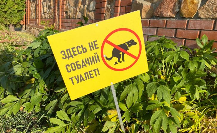 В Курске проверили состояние 120 дворов