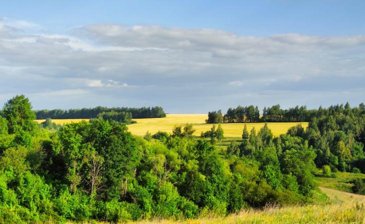В Курской области ожидается до 25 градусов тепла