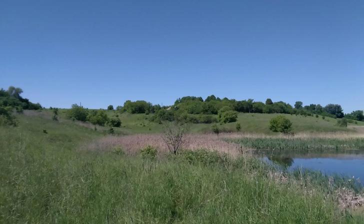 Курянин погиб после падения на автомобиле в реку