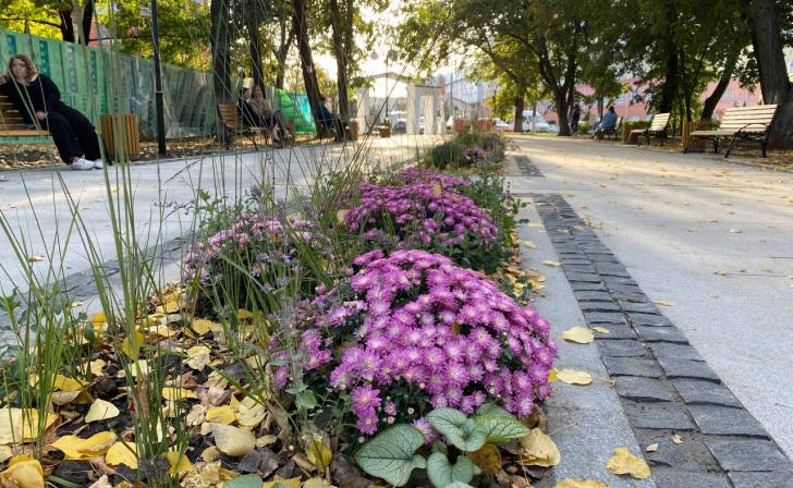 В Курской области ожидается до 16 градусов тепла