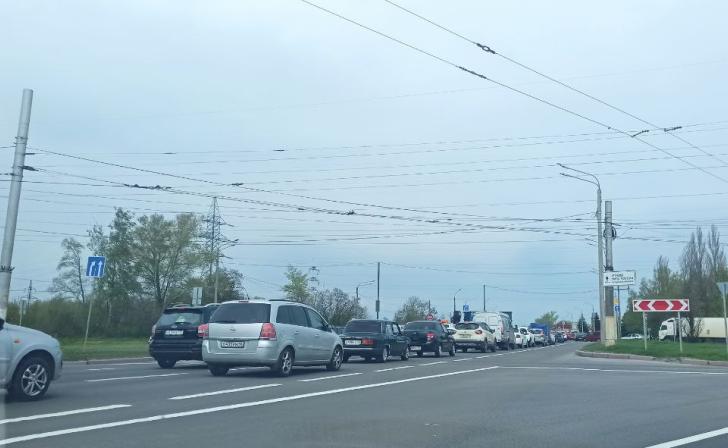 В Курской области озвучили опасные участки дорог по ДТП с животными