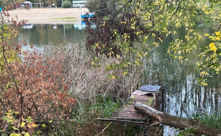 В Курской области ожидается до 13 градусов тепла и дождь