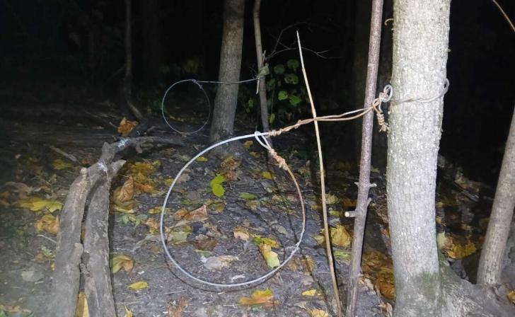 В Курском районе сотрудники регионального минприроды изъяли петли, расставленные на барсука