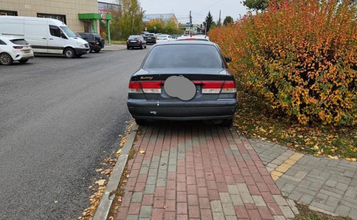 Курян просят присылать свои снимки автомобилей, размещённых на газонах