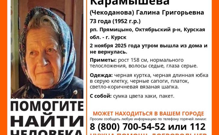 В Курской области ищут пропавшую 73-летнюю женщину
