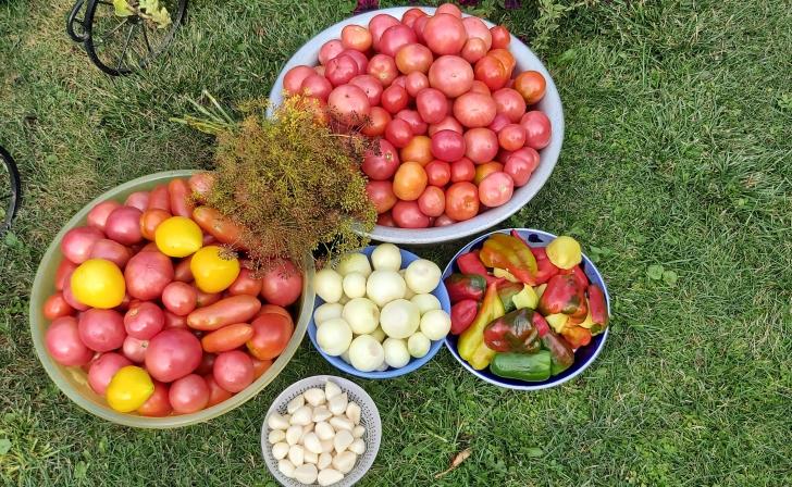 Курский Роспотребнадзор изъял из продажи 260 кг овощей и фруктов