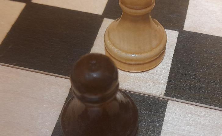 В Курске сборная лицея № 6 победила на шахматном турнире