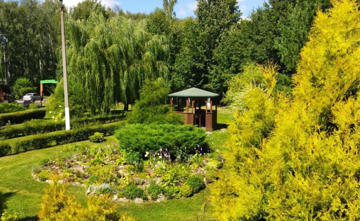 В Саратовской области началось создание экопарка В Саратовской области началось создание экопарка