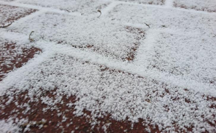 В Курской области 16 ноября ожидается небольшой снег