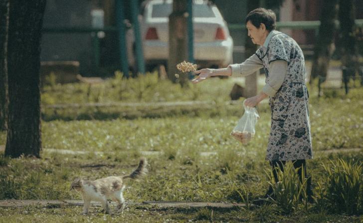 Курские пенсионеры теперь получают электронные удостоверения через Госуслуги
