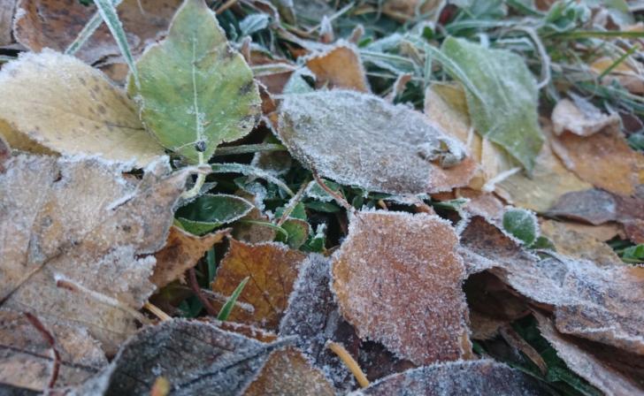 В Курскую область в первый день зимы придёт похолодание