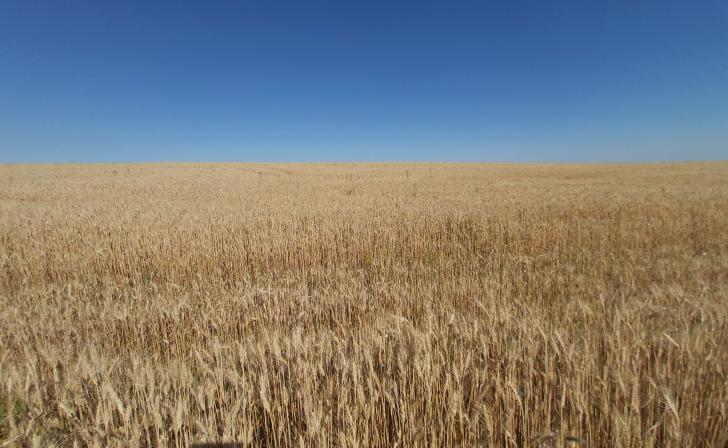 Путин отметил важность поддержки пострадавших предприятий АПК в Курской области