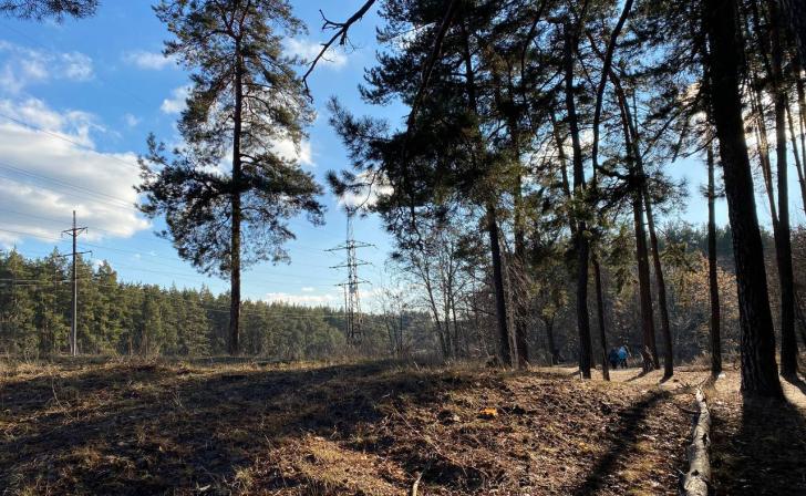 В Курской области студенты колледжа посетили лесничество